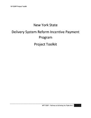 DSRIP Project Toolkit .